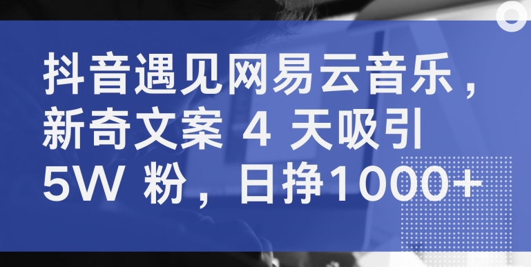 抖音遇见网易云音乐，新奇文案 4 天吸引 5W 粉，日挣1000+-副创网