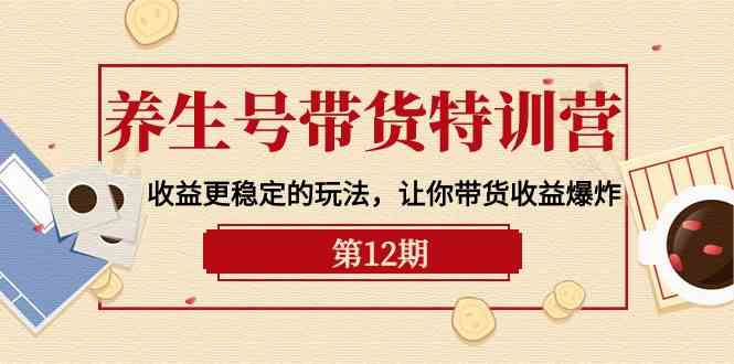 （10110期）养生号带货特训营【12期】收益更稳定的玩法，让你带货收益爆炸-9节直播课-副创网