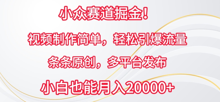 小众赛道掘金，视频制作简单，轻松引爆流量，条条原创，多平台发布-副创网