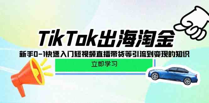 TikTok出海淘金，新手0-1快速入门短视频直播带货等引流到变现的知识-副创网