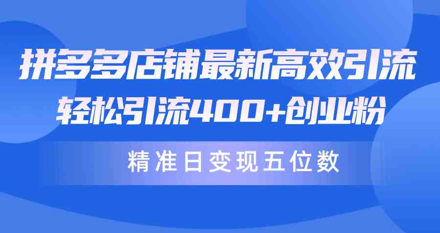 （10041期）拼多多店铺最新高效引流术，轻松引流400+创业粉，精准日变现五位数！-副创网