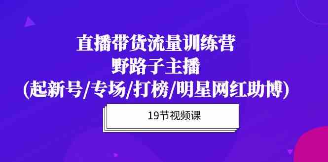 直播带货流量特训营，野路子主播(起新号/专场/打榜/明星网红助博)-副创网