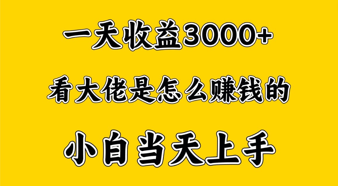 一天赚3000多，大佬是这样赚到钱的，小白当天上手，穷人翻身项目-副创网