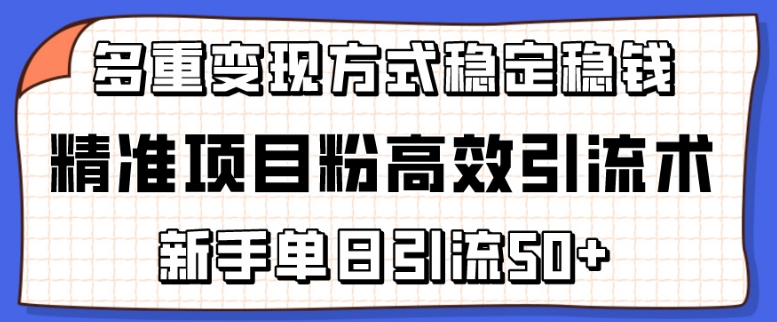 精准项目粉高效引流术，新手单日引流50+，多重变现方式稳定赚钱-副创网