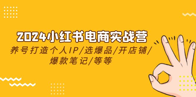 2024小红书电商实战营，养号打造IP/选爆品/开店铺/爆款笔记/等等（24节）-副创网