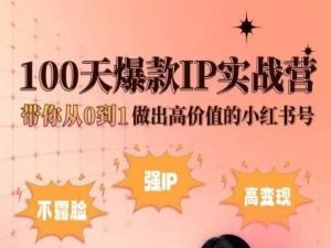 小红书100天爆款IP实战营，带你从0到1做出高价值的小红书号-副创网