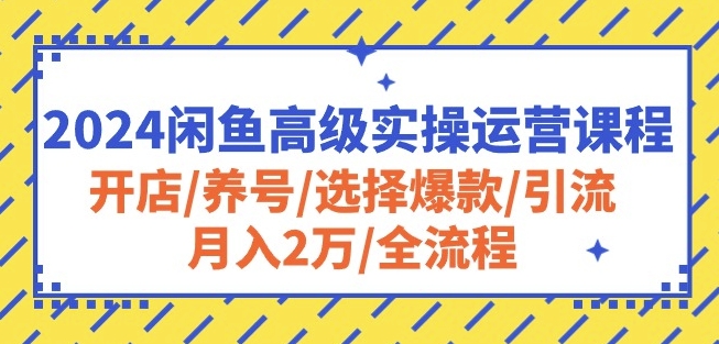 2024闲鱼高级实操运营课程：开店/养号/选择爆款/引流/月入2万/全流程-副创网