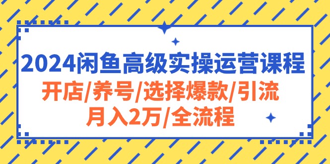 （10711期）2024闲鱼高级实操运营课程：开店/养号/选择爆款/引流/月入2万/全流程-副创网