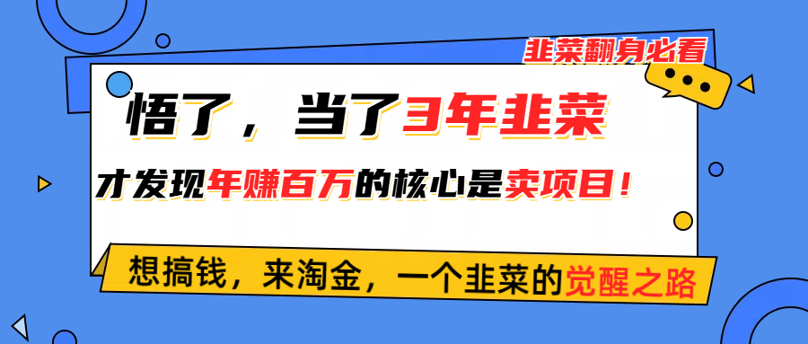 （10759期）悟了，当了3年韭菜，才发现网赚圈年赚100万的核心是卖项目，含泪分享！-副创网