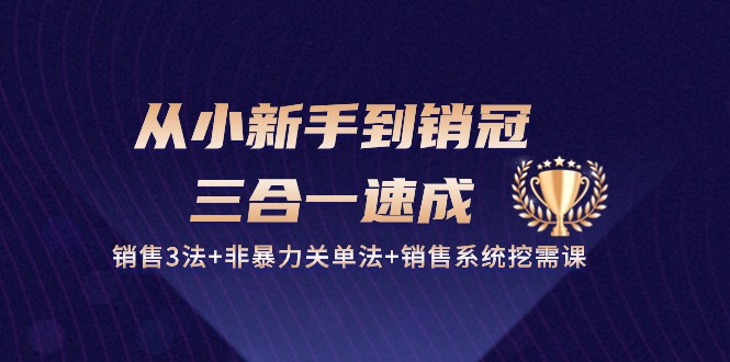 从小新手到销冠三合一速成：销售3法+非暴力关单法+销售系统挖需课 (27节)-副创网