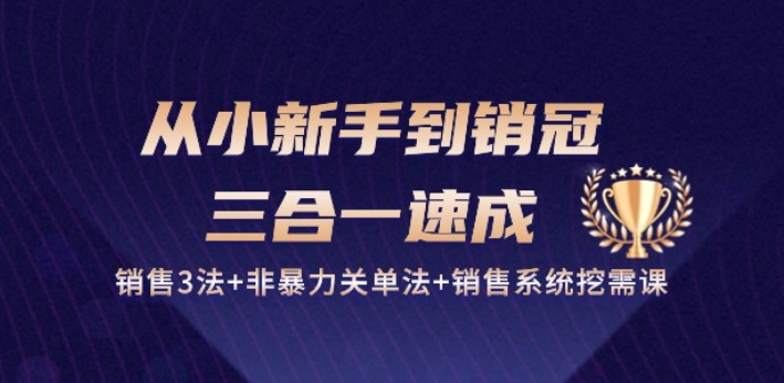 从小新手到销冠 三合一速成：销售3法+非暴力关单法+销售系统挖需课 (27节)-副创网