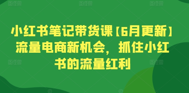 小红书笔记带货课【6月更新】流量电商新机会，抓住小红书的流量红利-副创网