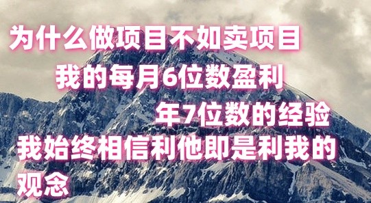 做项目不如卖项目，每月6位数盈利，年7位数经验-副创网