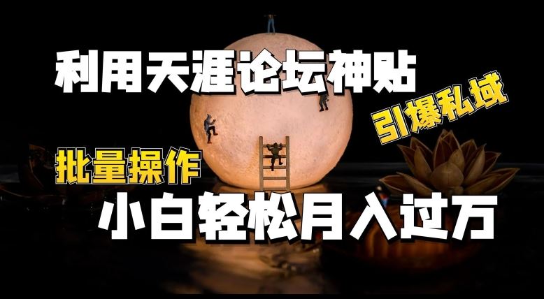 利用天涯论坛神贴，引爆私域，批量操作，小白轻松月入过w【揭秘】-副创网