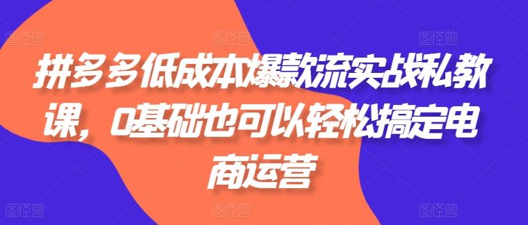 拼多多低成本爆款流实战私教课，0基础也可以轻松搞定电商运营-副创网