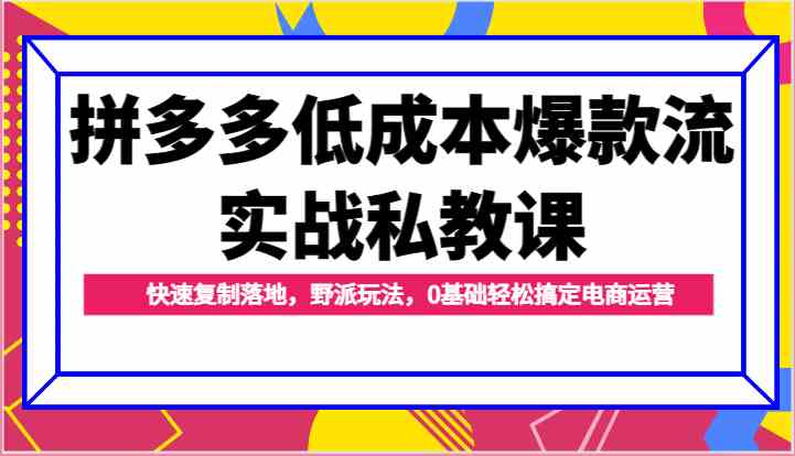 拼多多低成本爆款流实战私教课，快速复制落地，野派玩法，0基础轻松搞定电商运营-副创网