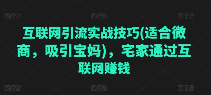 互联网引流实战技巧(适合微商，吸引宝妈)，宅家通过互联网赚钱-副创网