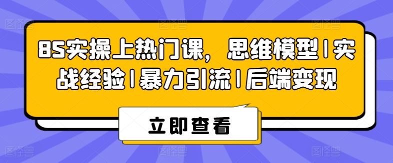 8S实操上热门课，思维模型|实战经验|暴力引流|后端变现-副创网