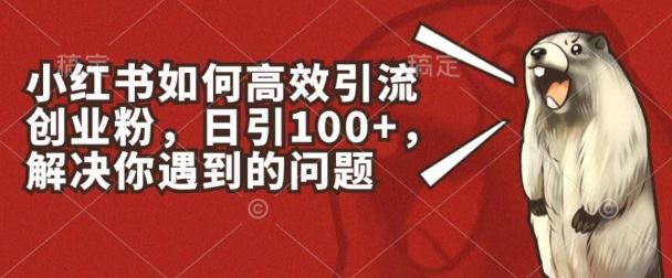 小红书如何高效引流创业粉，日引100+，解决你遇到的问题【揭秘】-副创网