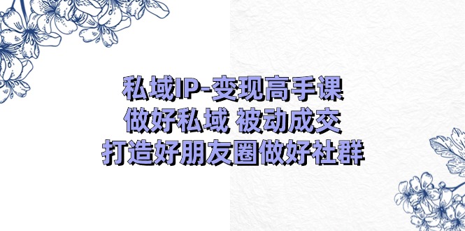 （11209期）私域IP-变现高手课：做好私域 被动成交，打造好朋友圈做好社群（18节）-副创网