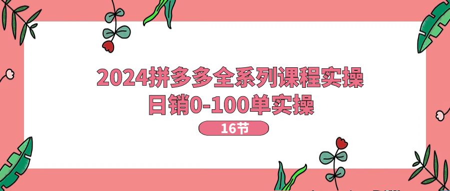 （11222期）2024拼多多全系列课程实操，日销0-100单实操【16节课】-副创网