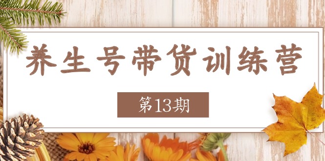 （11275期）养生号-带货训练营【第13期】收益更稳定的玩法，让你带货收益爆炸-副创网