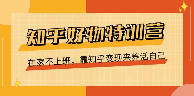 （11369期）知乎好物特训营，在家不上班，靠知乎变现来养活自己（16节）-副创网