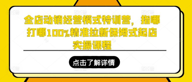 全店动销经营模式特训营，指哪打哪100%精准拉新保姆式起店实操课程-副创网