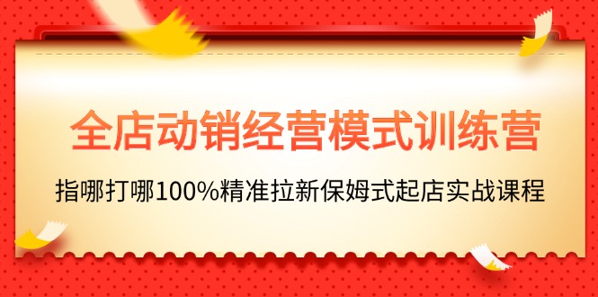 （11460期）全店动销-经营模式训练营，指哪打哪100%精准拉新保姆式起店实战课程-副创网