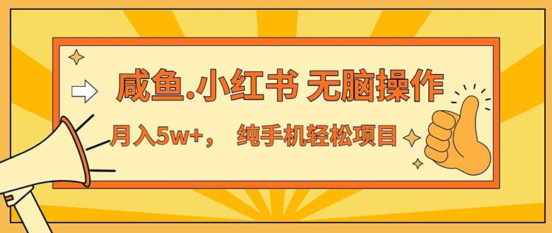 （11524期）2024最赚钱的项目，咸鱼，小红书无脑操作，每单利润500+，轻松月入5万+…-副创网