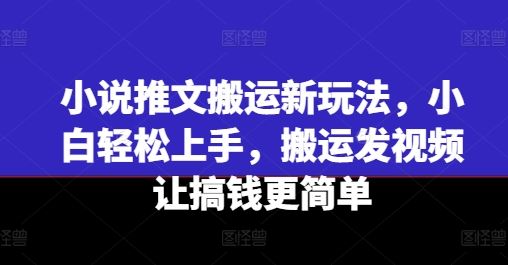 小说推文搬运新玩法，小白轻松上手，搬运发视频让搞钱更简单-副创网