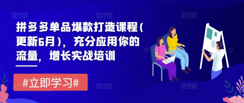 拼多多单品爆款打造课程(更新6月)，充分应用你的流量，增长实战培训-副创网