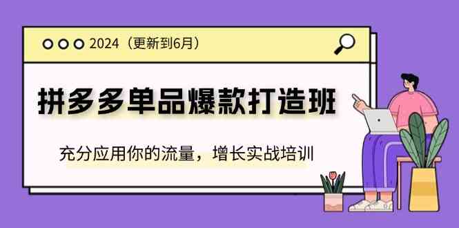 2024拼多多单品爆款打造班，充分应用你的流量，增长实战培训(更新6月)-副创网