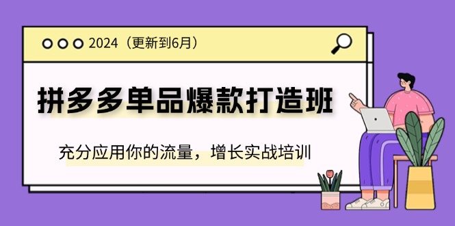 （11556期）2024拼多多-单品爆款打造班(更新6月)，充分应用你的流量，增长实战培训-副创网