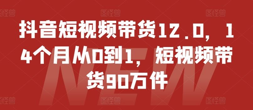 抖音短视频带货12.0，14个月从0到1，短视频带货90万件-副创网