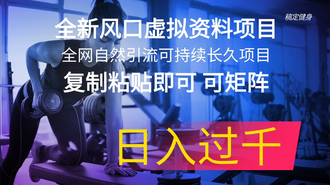 （11587期）全新风口虚拟资料项目 全网自然引流可持续长久项目 复制粘贴即可可矩阵…-副创网