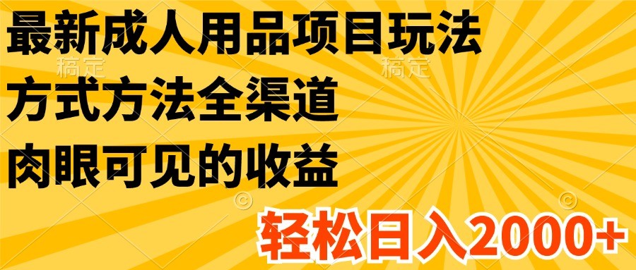 最新成人用品项目玩法，方式方法全渠道，肉眼可见的收益，轻松日入2000+-副创网