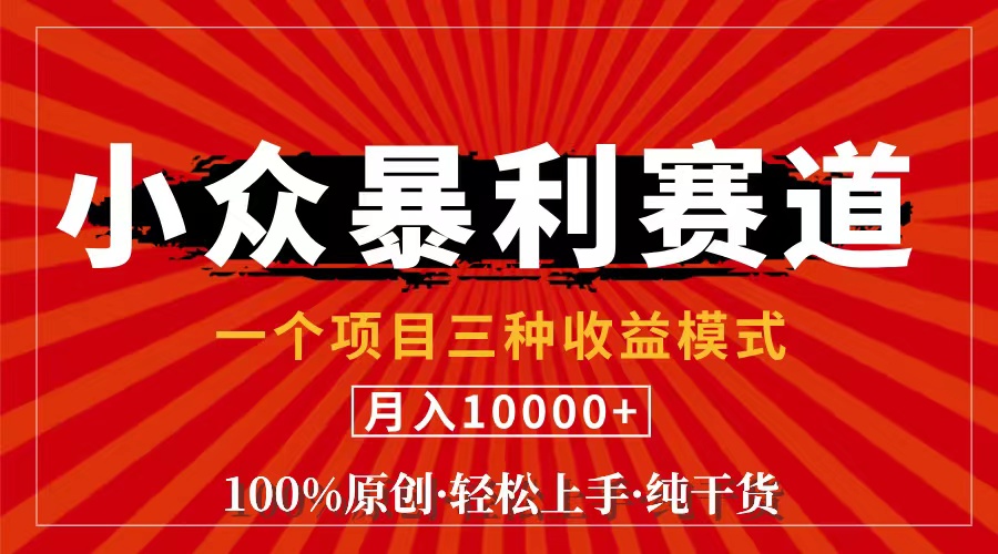 （11695期）视频号【中老年粉深信不疑】小众赛道 100%原创 手把手教学 新号3天收益…-副创网