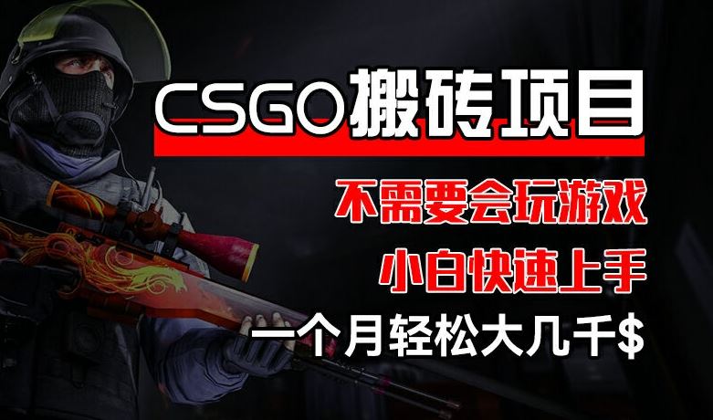 CSGO 装备搬砖项目，操作简单，不需要会玩游戏，小白也能快速上手，一个月轻松大几千【揭秘】-副创网