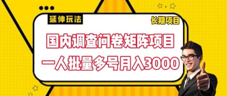 国内调查问卷矩阵项目，一人批量多号月入3000【揭秘】-副创网