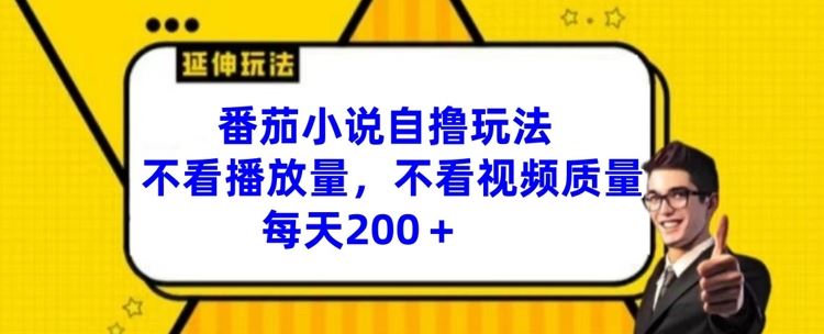 番茄小说自撸玩法，不看播放量，不看视频质量，每天200+【揭秘】-副创网