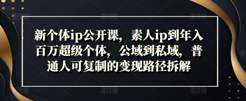 新个体ip公开课，素人ip到年入百万超级个体，公域到私域，普通人可复制的变现路径拆解-副创网