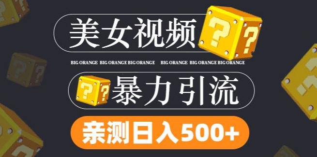 搬运tk美女视频全网分发，日引s粉300+，轻松变现，不限流量不封号-副创网