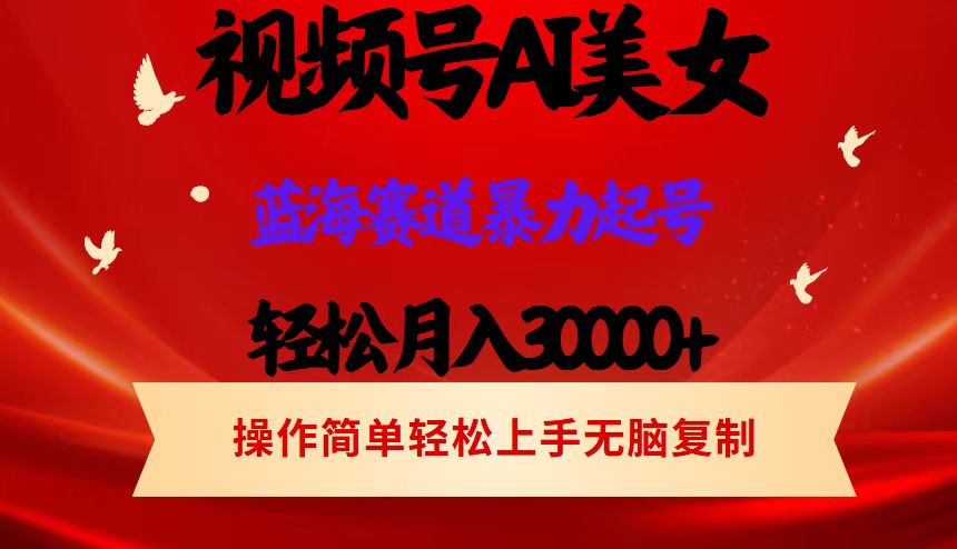 （12178期）视频号AI美女跳舞，轻松月入30000+，蓝海赛道，流量池巨大，起号猛，当…-副创网