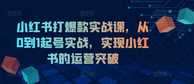 小红书打爆款实战课，从0到1起号实战，实现小红书的运营突破-副创网