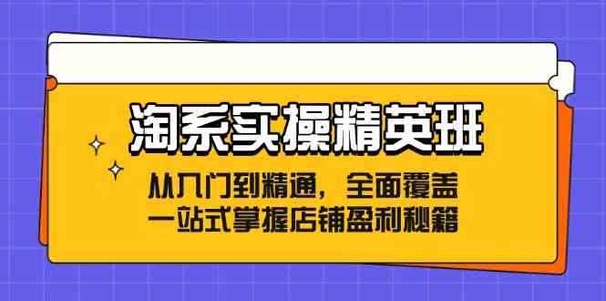 淘系实操精英班：从入门到精通，全面覆盖，一站式掌握店铺盈利秘籍-副创网