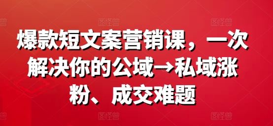 爆款短文案营销课，一次解决你的公域→私域涨粉、成交难题-副创网