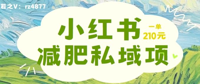 小红书减肥粉，私域变现项目，一单就达210元，小白也能轻松上手【揭秘】-副创网