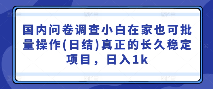 国内问卷调查小白在家也可批量操作(日结)真正的长久稳定项目，日入1k【揭秘】-副创网