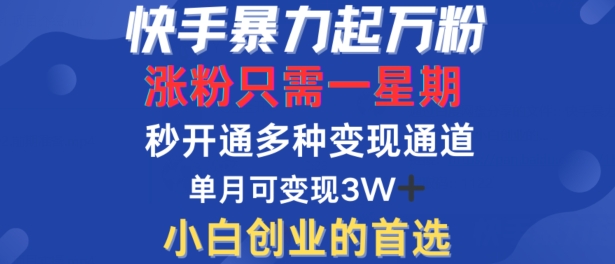 快手暴力起万粉，涨粉只需一星期，多种变现模式，直接秒开万合，单月变现过W【揭秘】-副创网